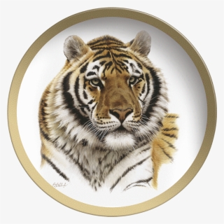 Tiger Head Png - Tiger