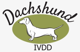 The Dachshund Breed Council Uk - Longdog
