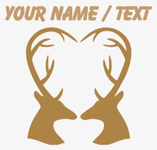 Favorite - Elk