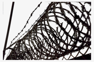 Barbed Wire - Barb Wire Psd
