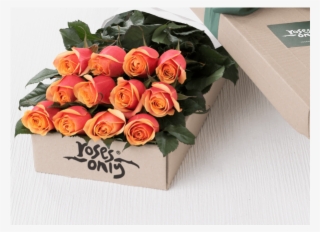 One Dozen Orange Roses - Rose