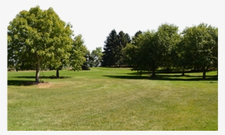 Grove