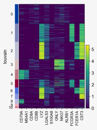 Images/visualizing Marker Genes 35 0 - Plot