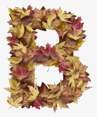 Letter B From Dry Leaves - Artificial Flower