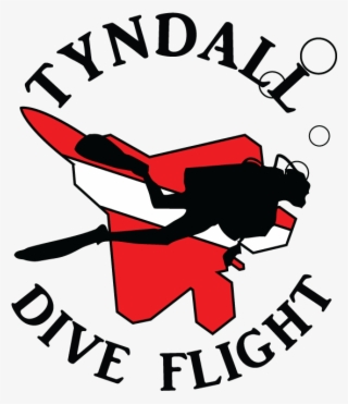 Dive Flight Logo - Illustration