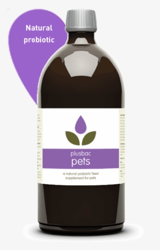 Plusbac Pets Liquid Probiotic - Pet