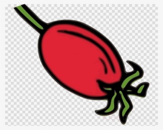 Download Rose Hips Clip Art Clipart Rose Hip Dog Rose - Logo Dream League Soccer 2019