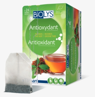 Biolys Rooibos-green Tea - Green Tea