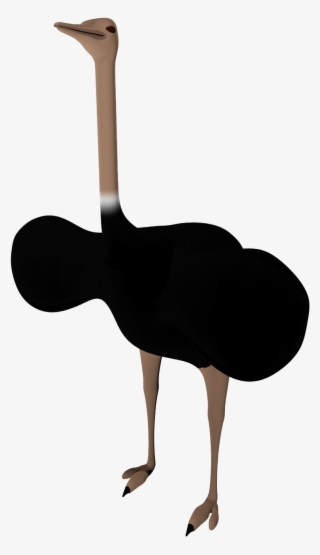Black Ostrich Png Pictures - Ostrich