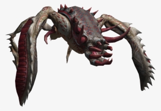 Bestiary Kikimore Warrior Full