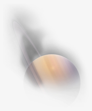 Spoon