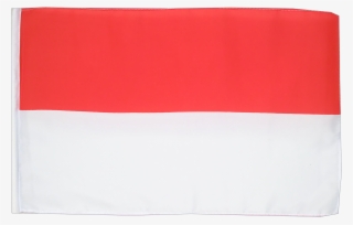 indonesia in flag - flag