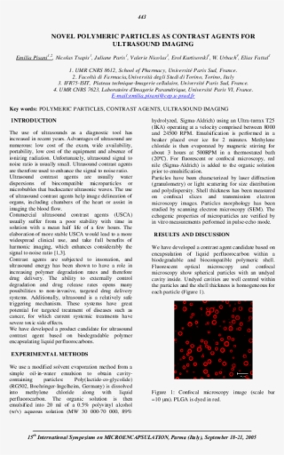 Pdf - Document