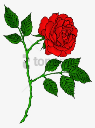 Free Png Red Rose Tattoo Transparent Png Image With - Portable Network Graphics