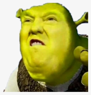 Trump Donaldtrump Shrek Meme Stealthis Stealthissticker Shrek