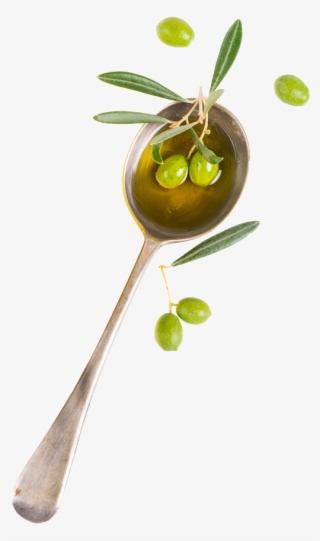 We're Committed To Providing Our Customers The Finest - Olive