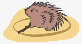 Set Safe Boundaries - Domesticated Hedgehog