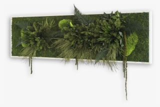 Plant Island Picture - Stylegreen Verticale Tuin