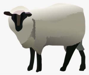 Sheep Clipart Nativity Animal - Sheep