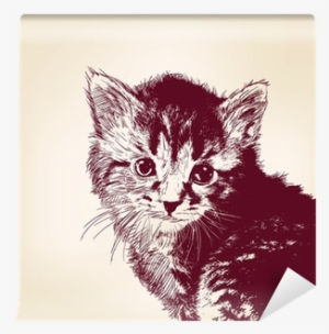 Art Print: Vladischern's Cat Vector Illustration, 30x30cm.