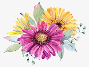 Hand Painted Purple Chrysanthemum Png Transparent - Watercolor Painting