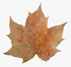 Fall Leaves Pile Png Download - Autumn Leaves Transparent Background