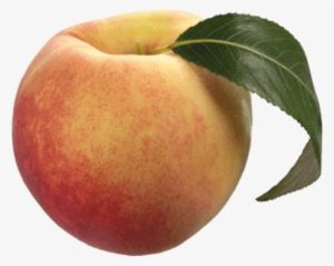 Free Png Peach With Green Leaf Png Images Transparent - Peach Transparent