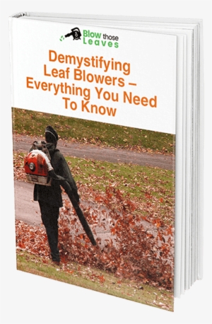 Get Ride Of A Pile Of Leaves Quickly And In Style - Flyer