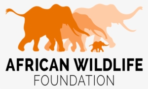 A Place Without People - American Wildlife Foundation