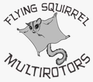 Drawing Flying Squirrel - Cat Yawns