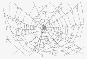 Realistic Spider Web Icons - Transparent Background Spider Web Png