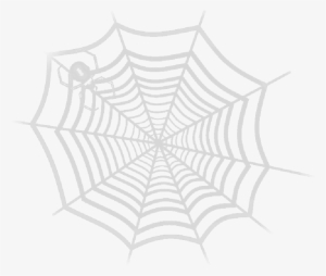 Mb Image/png - Netz Der Spinnen Postkarte
