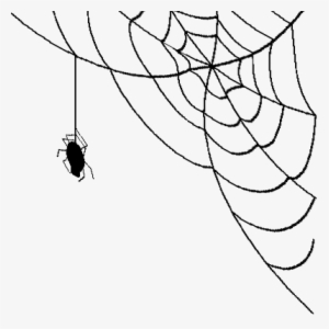 Corner Spider Web - Spider Web Transparent Background