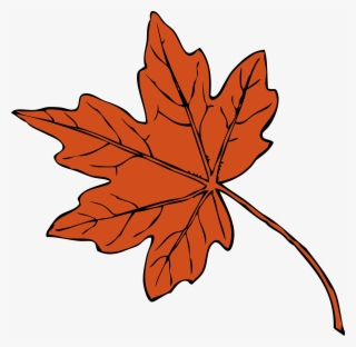 Maple Leaf Drawing Autumn Leaf Color Red Maple - Maple Leaf Clipart
