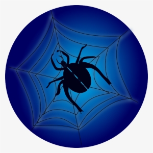 Crawl, Insect, Spider, Web, Spiderweb, Cobweb - Arachnophobia