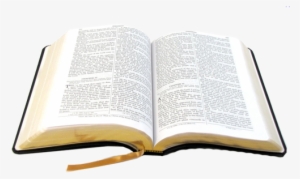 Open Bible Png - Open Bible Without Background