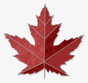 Images Of Maple Leaves - Google Image Maple Leaf