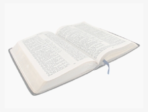 Open Bible Clip Art Png Open Holy Bible Png - Bible White Background