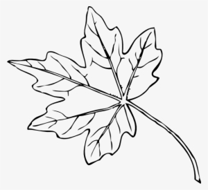Maple - Fall Leaves Clip Art