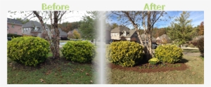 Flower Se Lawnserve Of Ar Flowers And Mulch Before - Mulching Flower Bed Before And After