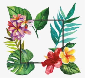 Tropical Frame Floral Decal - Marco Tropical Png