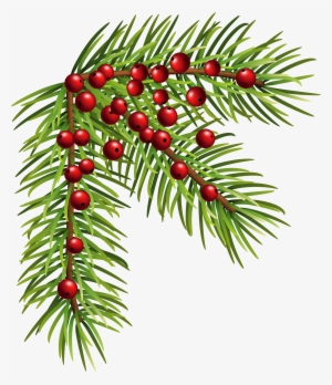 Christmas Pine Corner Png Clip Art Image - Christmas Png Clipart Corner