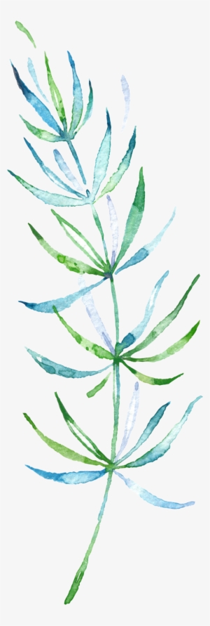 Tropical Fresh Green Watercolor Branches Transparent - Watercolor Painting