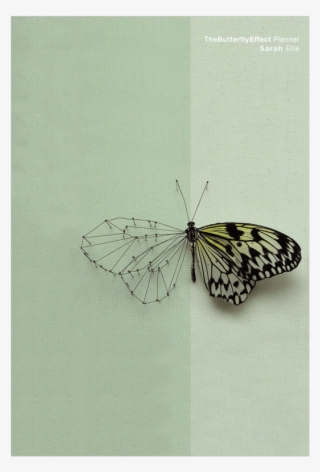 Power Of Intention Planner - Melanargia