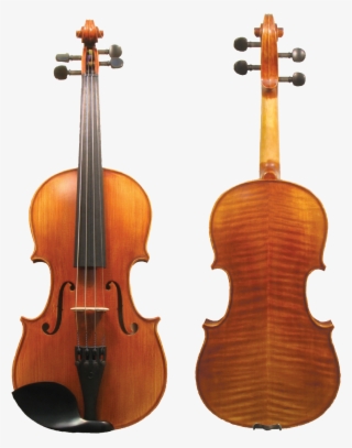 Artista Cello - - Guadagnini Violin