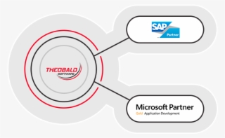 Sap Softwareentwicklung - Theobald Software