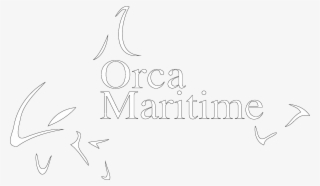 Environmental Gis - Calligraphy