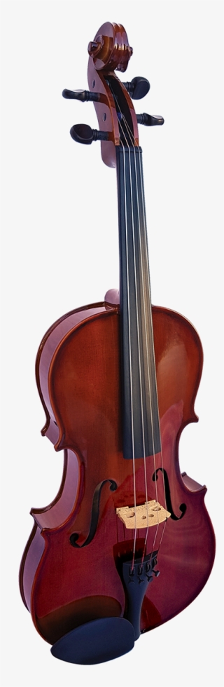 Loading Zoom - Hidersine Piacenza Cello