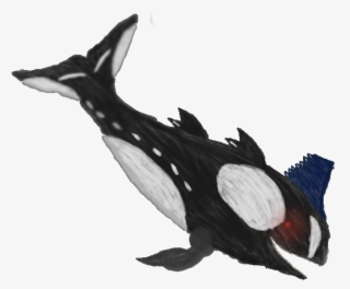 Orca Leviathan - Killer Whale