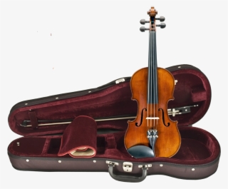 Amati Viola Outfit